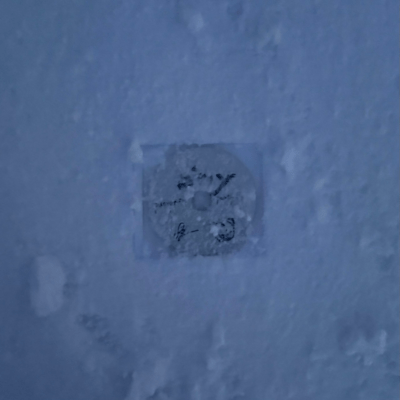 Stay (feat. hypcape87i & BECK=ANOHIMIZ) Front Cover