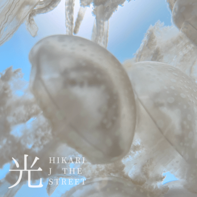 light Front Cover