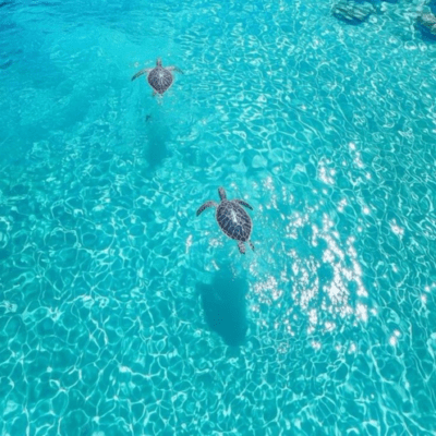 AQUA -Genesis ~ Front Cover