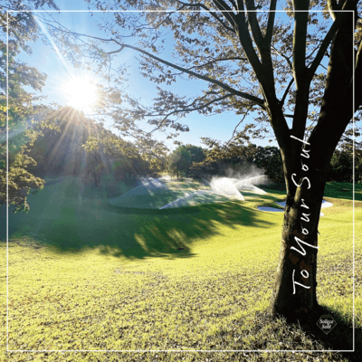 To Your Soul Front Cover