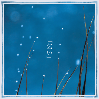 Koi Front Cover
