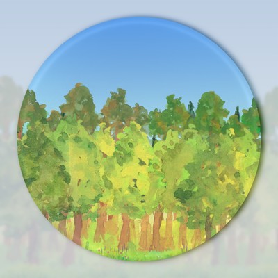 Sunny Forest Symphony Front Cover