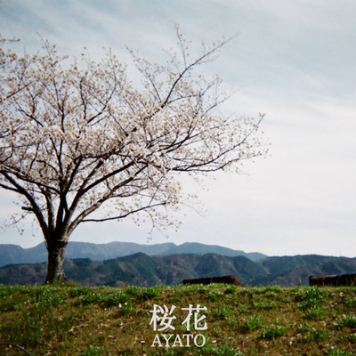 Sakura-Bana Front Cover