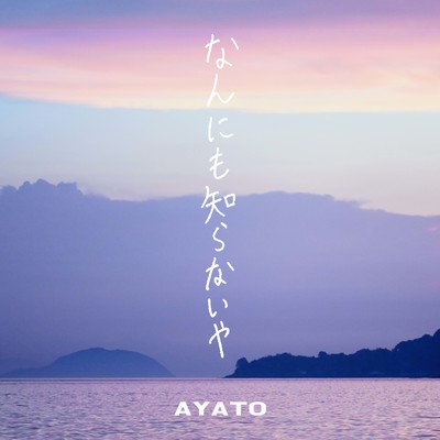 なんにも知らないやのジャケット写真