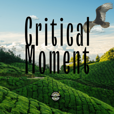 Critical Moment (feat. TAIRA & Vulture) Front Cover