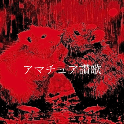 アマチュア賛歌のジャケット写真