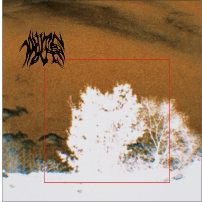 whiteoutのジャケット写真