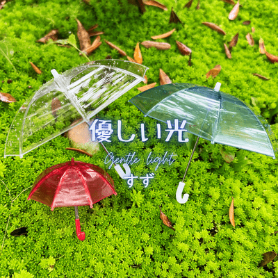 Gentle light Front Cover