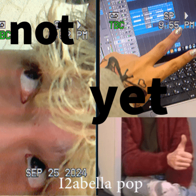 not yet Front Cover