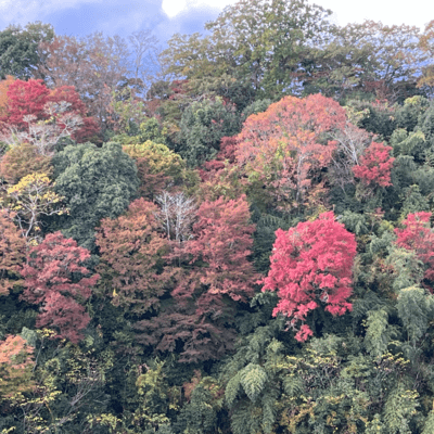 Cold Autumn (feat. HARADA Testuo) Front Cover