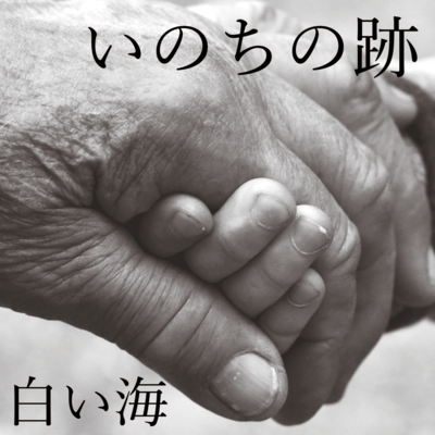 いのちの跡のジャケット写真