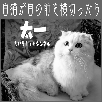 When a white cat crosses in front of me Front Cover