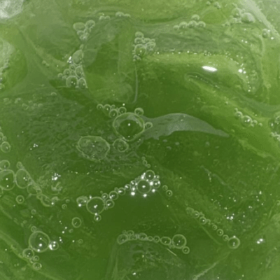 Self Made Front Cover