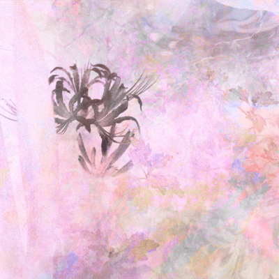 ぬるさのジャケット写真