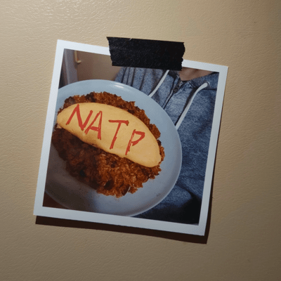 NATP (Not According To Plan) Front Cover