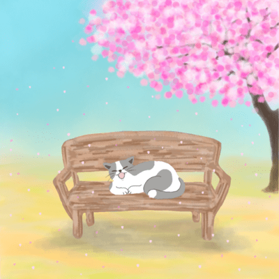 Harusaku Front Cover