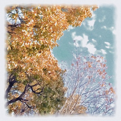 beautiful landscapes in natural settings Front Cover