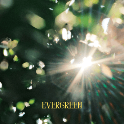 Evergreen (feat. NOIZEWAVE) Front Cover