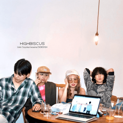 HIGH BISCUS (feat. SIDEDISH & seauka) Front Cover