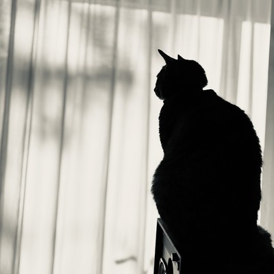 Wind and Light Front Cover