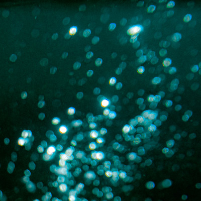 Career (feat. KIKUMARU) Front Cover