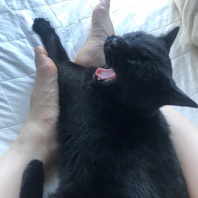 春のジャケット写真