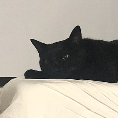 banana moonのジャケット写真