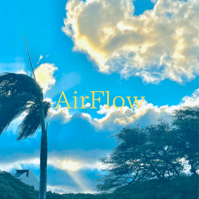 AirFlowのジャケット写真