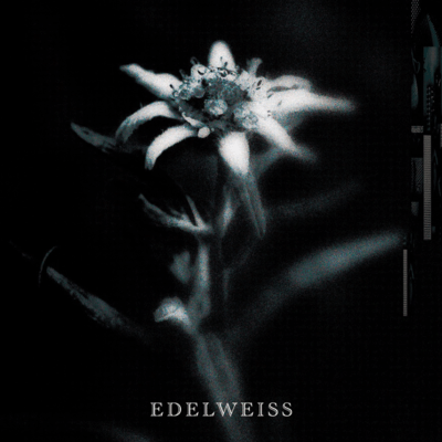 EDELWEISS Front Cover