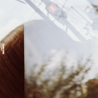 さめためのジャケット写真