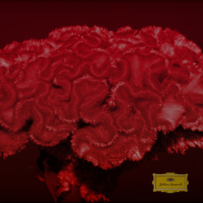 REITETSU (feat. LOWTUS, STILL BLUTO & Gène D') Front Cover