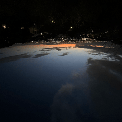 My Ownのジャケット写真