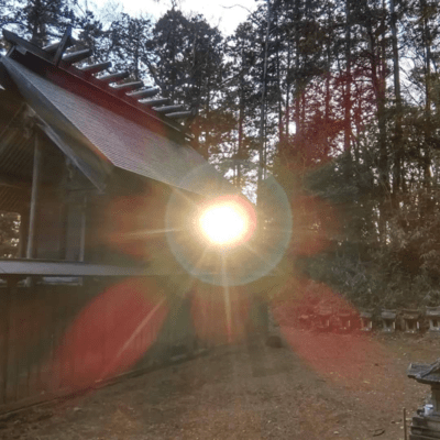 赤のシクラメンのジャケット写真