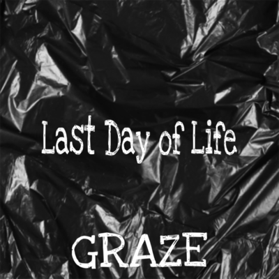 Last Day of Life Front Cover
