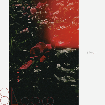 Bloomのジャケット写真