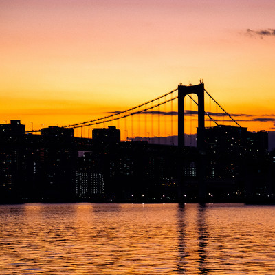 Twilight Front Cover