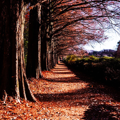 Now is the time to start down this path Front Cover