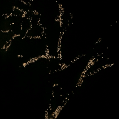 jigojitalk Front Cover