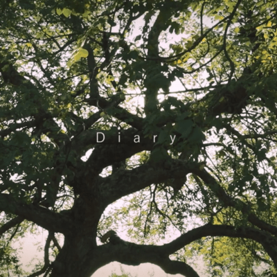 Diary (feat. NurseRobot_TypeT) Front Cover