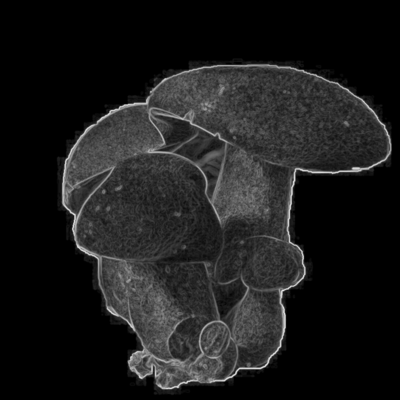 Kin-Kon-Kinのジャケット写真