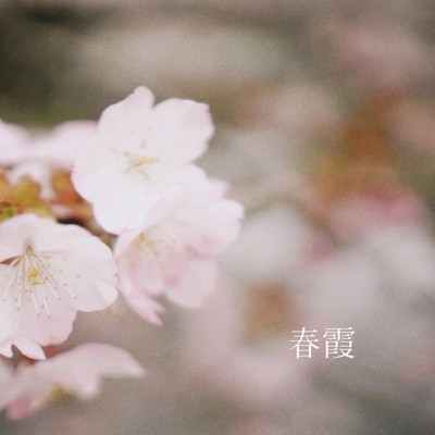 春霞のジャケット写真