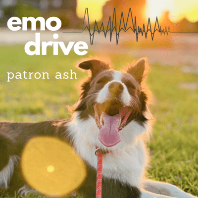 emo drive Front Cover