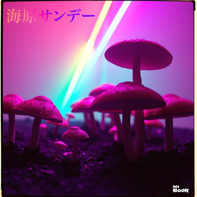 海原サンデーのジャケット写真