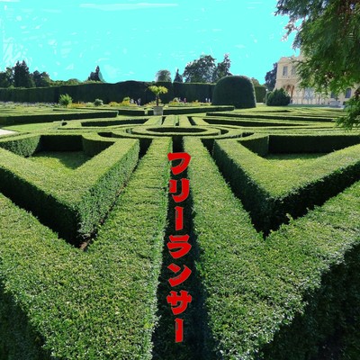 フリーランサーのジャケット写真