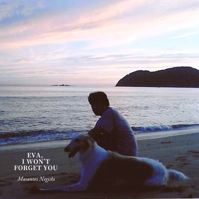 Eva, I won't forget you Front Cover