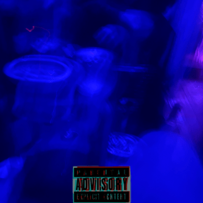 D.M.L Front Cover