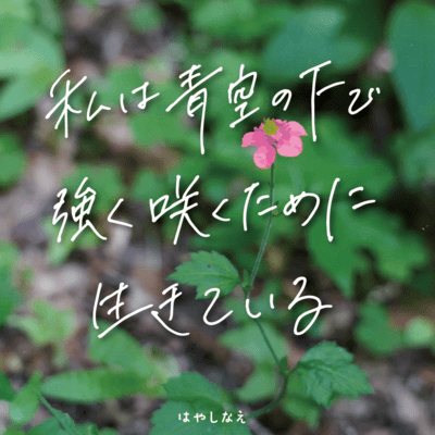 watasihaaozoranositadetuyokusakutameniikiteiru Front Cover