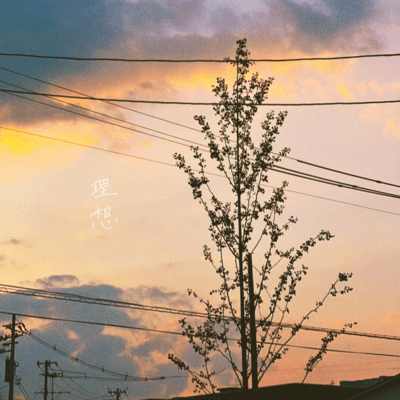 理想のジャケット写真