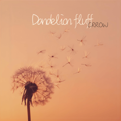 Dandelion fluff Front Cover