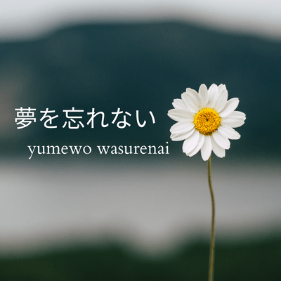 Don't forget your dreams Front Cover